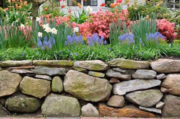 Stone Wall Hardscaping in Broomfield