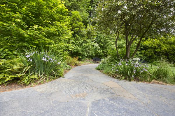 Stone Hardscape Service in Broomfield