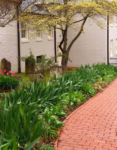 Brick Flatwork Repair in Broomfield